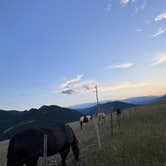 Review photo of Grouse Mountain Basecamp on Forest Road 403 by Brent P., August 17, 2025