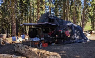 Linda L.'s photo of a dispersed camping area at Grouse Ridge Campground near Gold Run, CA