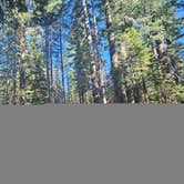 Review photo of Grouse Ridge Campground by Kevin C., October 15, 2025