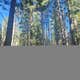Grouse Ridge Campground