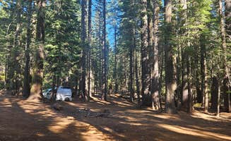 Kevin C.'s photo of tent camping at Grouse Ridge Campground near Clio, CA