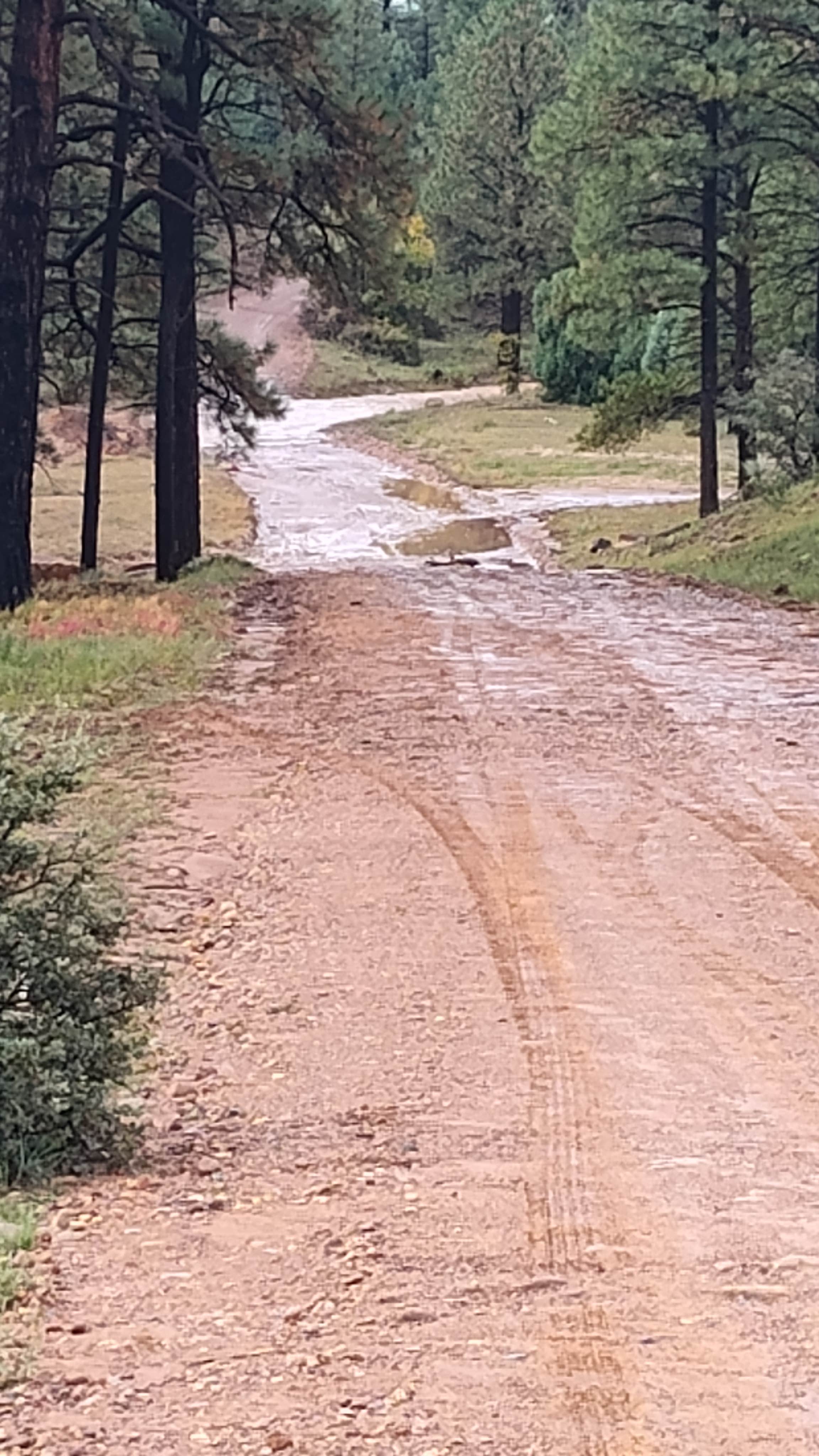 Roads