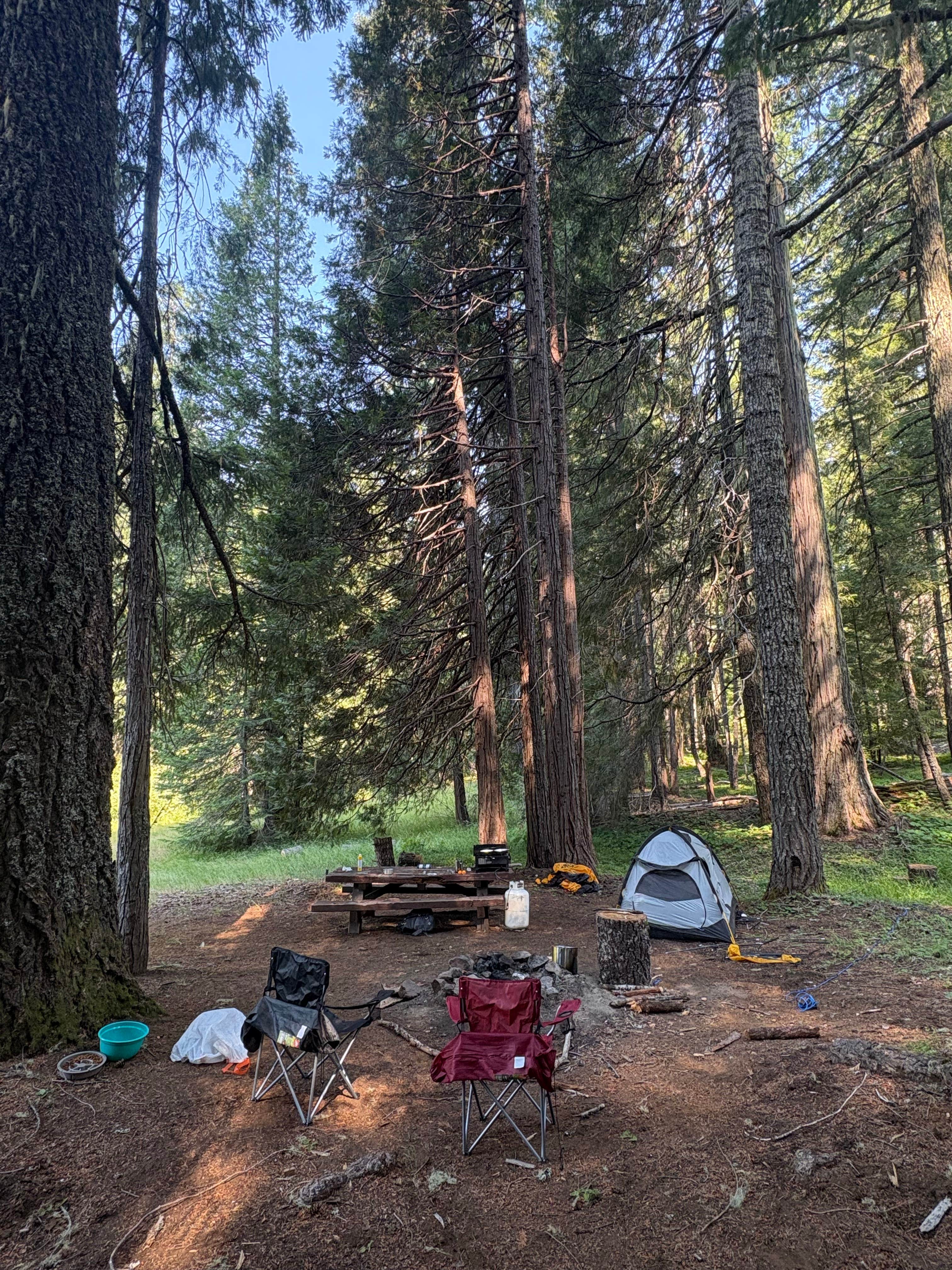 Camper-submitted photo at Groves Prairie Dispersed Camp near Arcata, CA