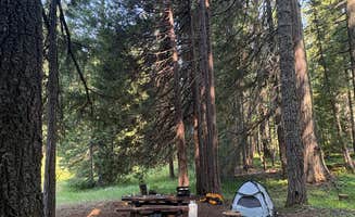 Madeeha A.'s photo at Groves Prairie Dispersed Camp near Hoopa, CA