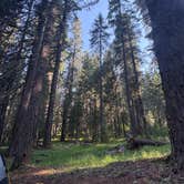 Review photo of Groves Prairie Dispersed Camp by Madeeha A., July 14, 2025