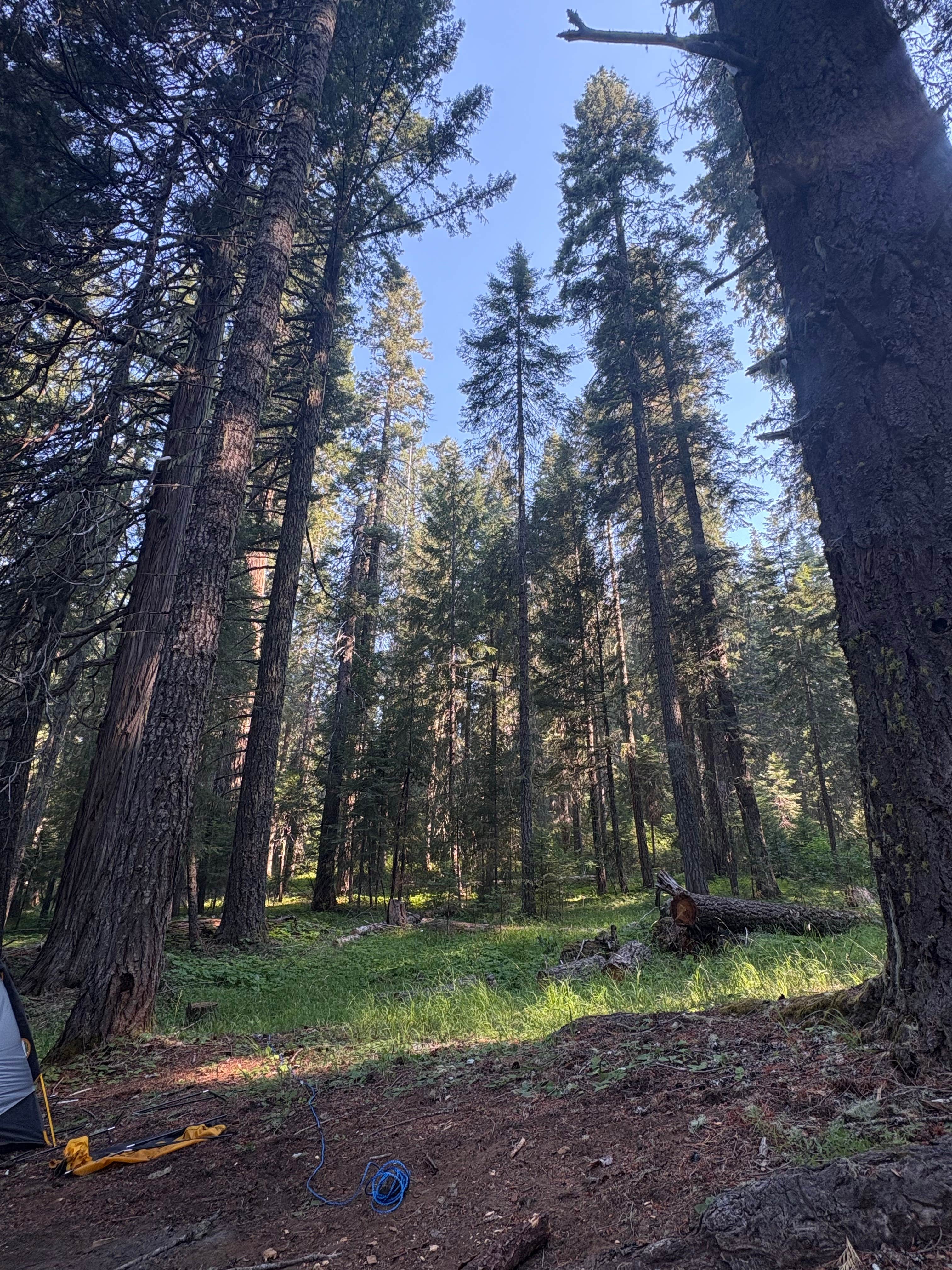 Camper submitted image from Groves Prairie Dispersed Camp - 1