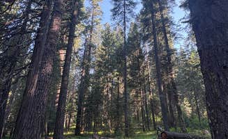 Madeeha A.'s photo at Groves Prairie Dispersed Camp near Six Rivers National Forest
