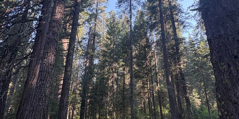 Camper submitted image from Groves Prairie Dispersed Camp