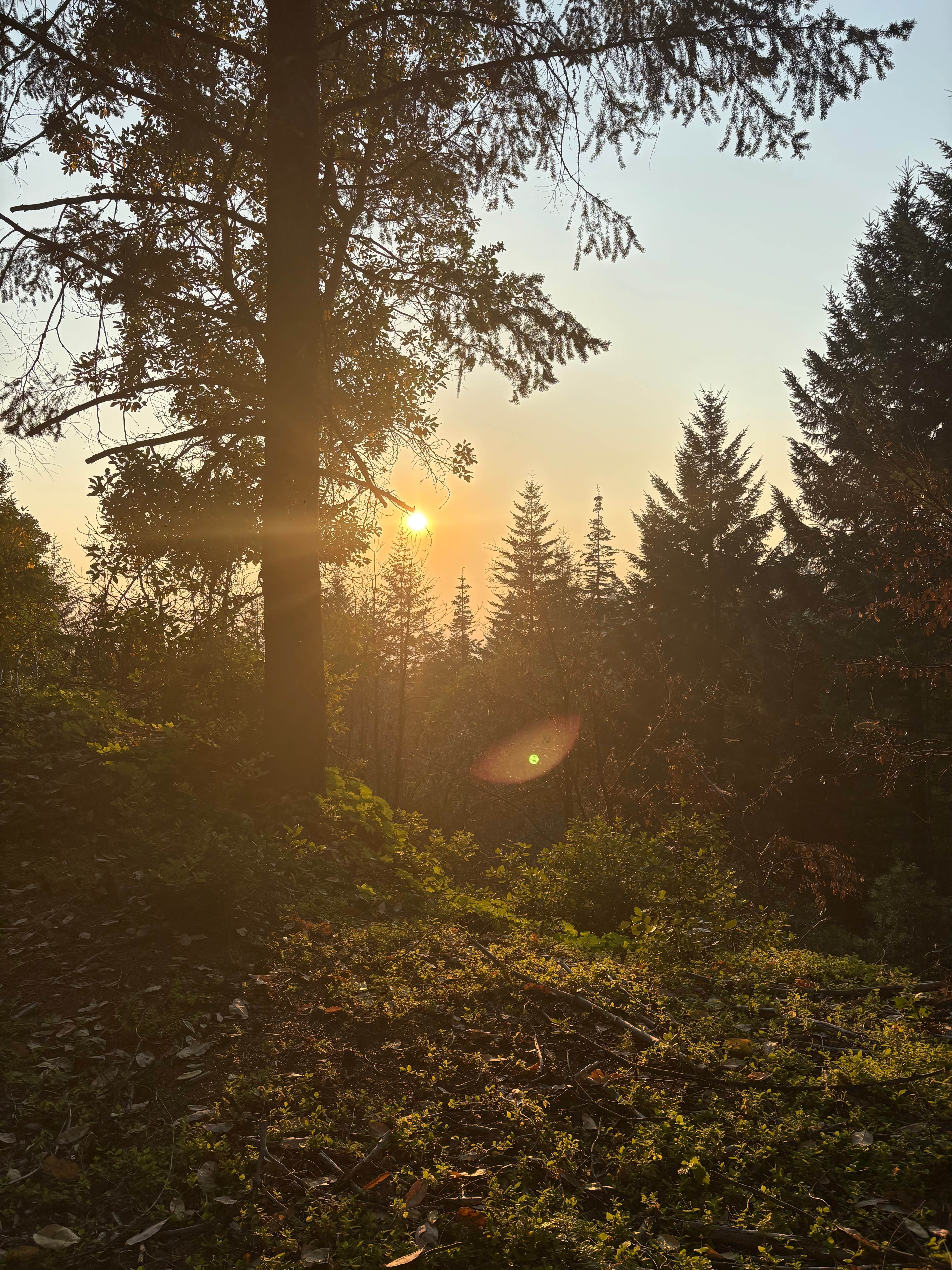 Camper submitted image from Groves Prairie Dispersed Camp - 5