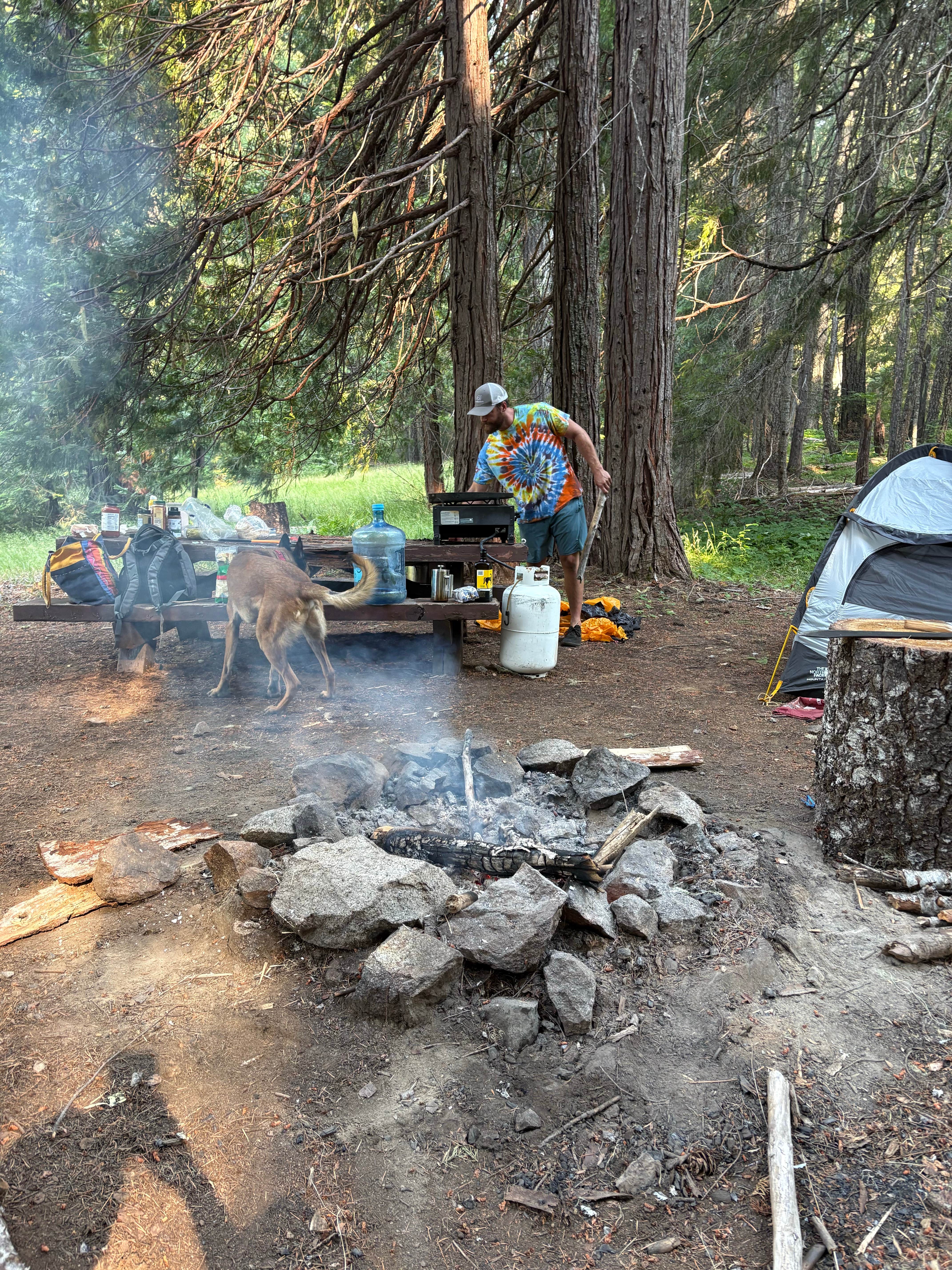 Camper-submitted photo at Groves Prairie Dispersed Camp near Arcata, CA