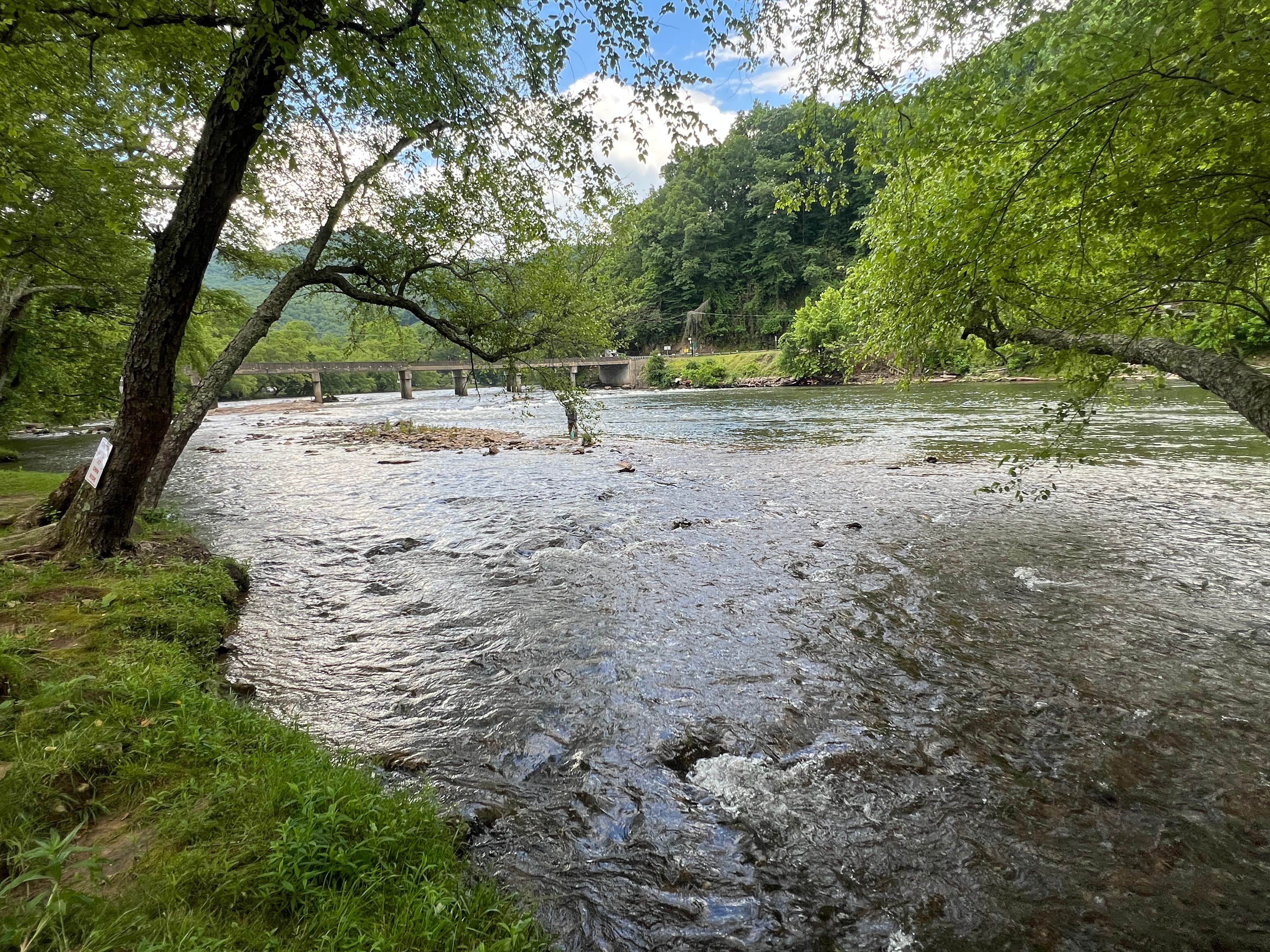 Camper-submitted photo at Grumpy Bear Campground near Bryson City, NC