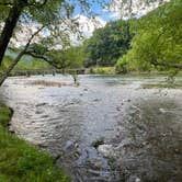 Review photo of Grumpy Bear Campground by Holly S., June 4, 2024