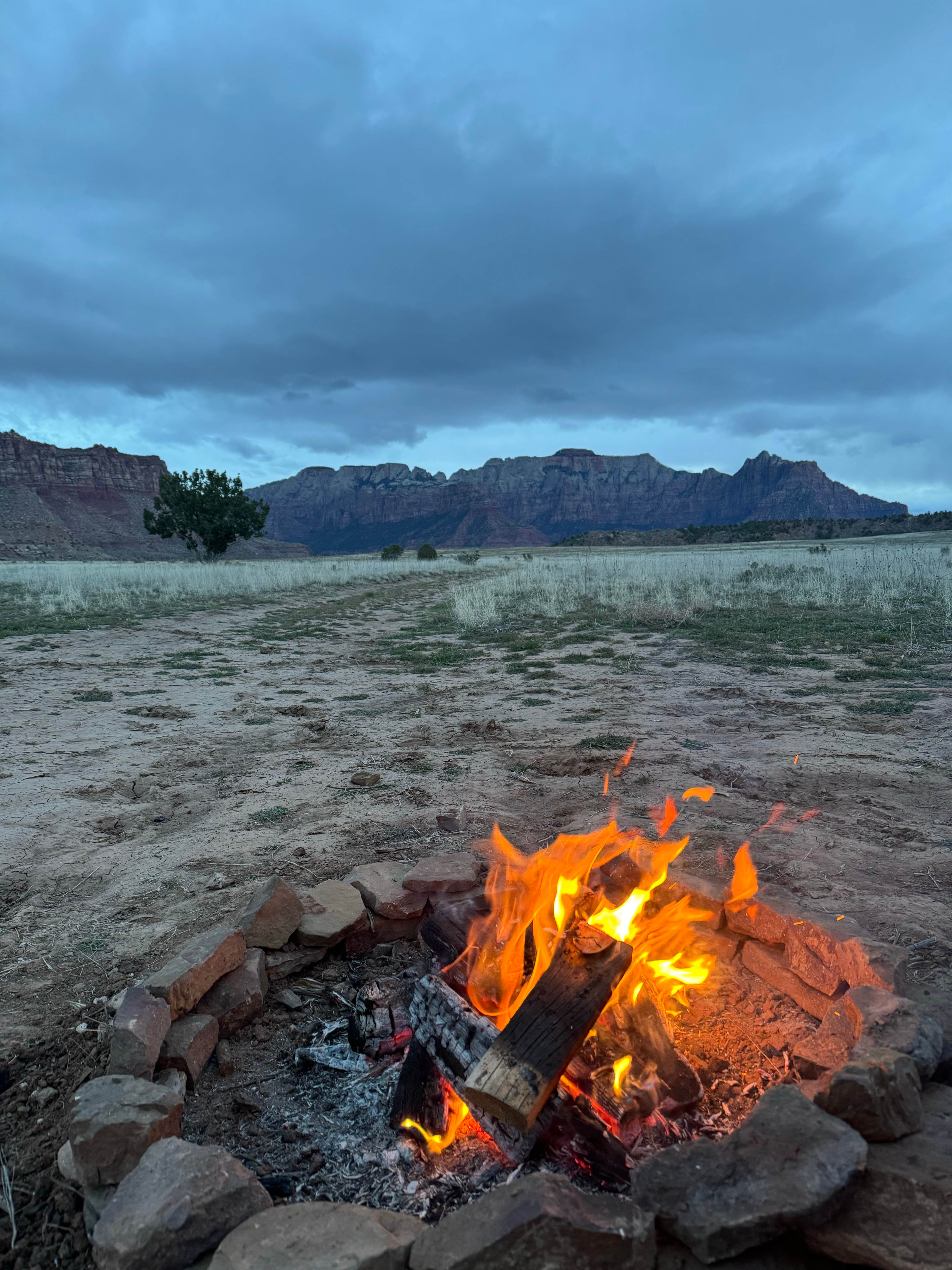 Camper submitted image from Guacamole Trailhead Camping - 1