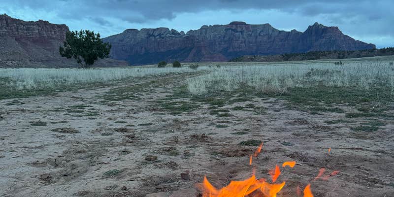 Camper submitted image from Guacamole Trailhead Camping