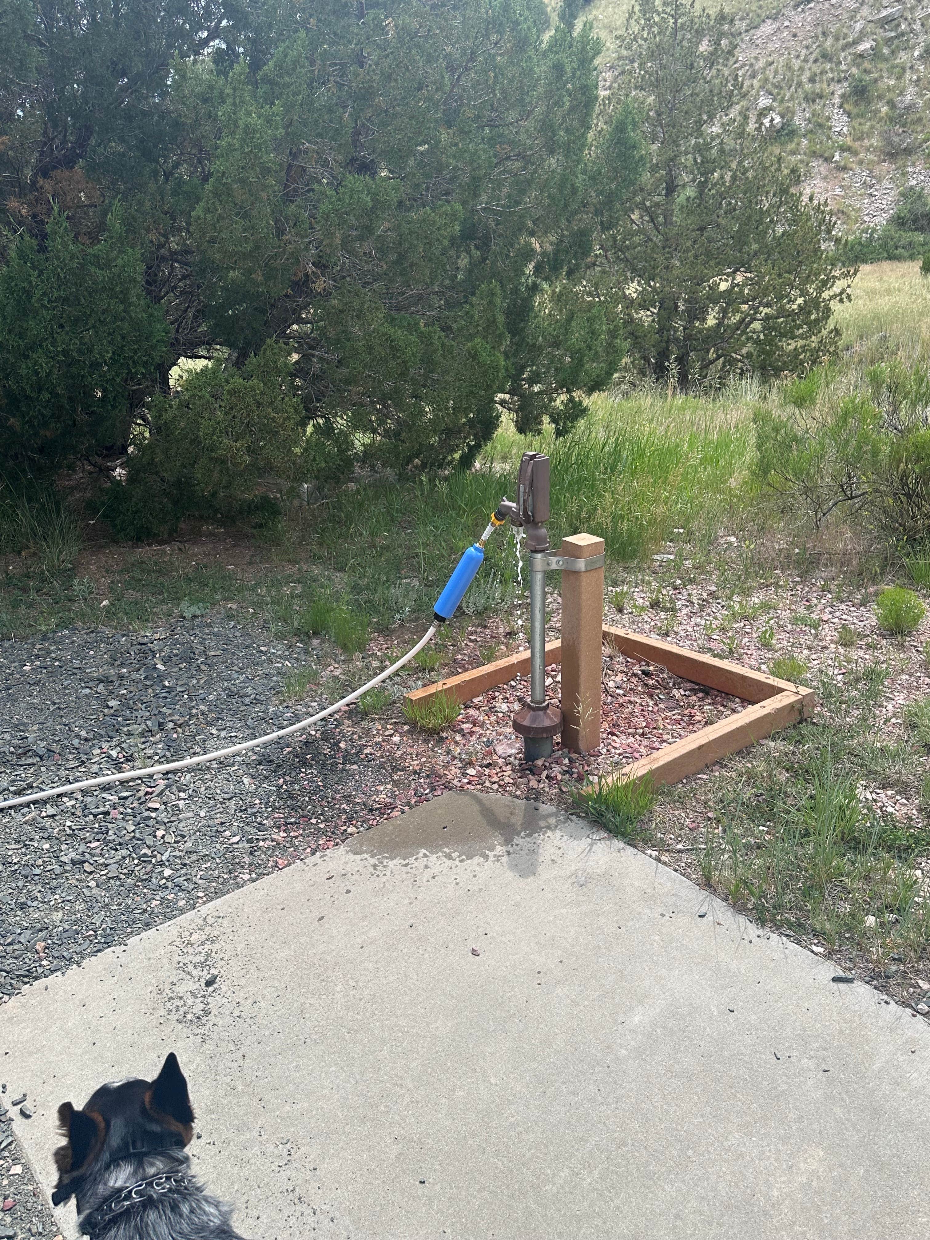 Joseph V.'s photo of camping with pets at Guernsey State Park Campground near Guernsey, WY