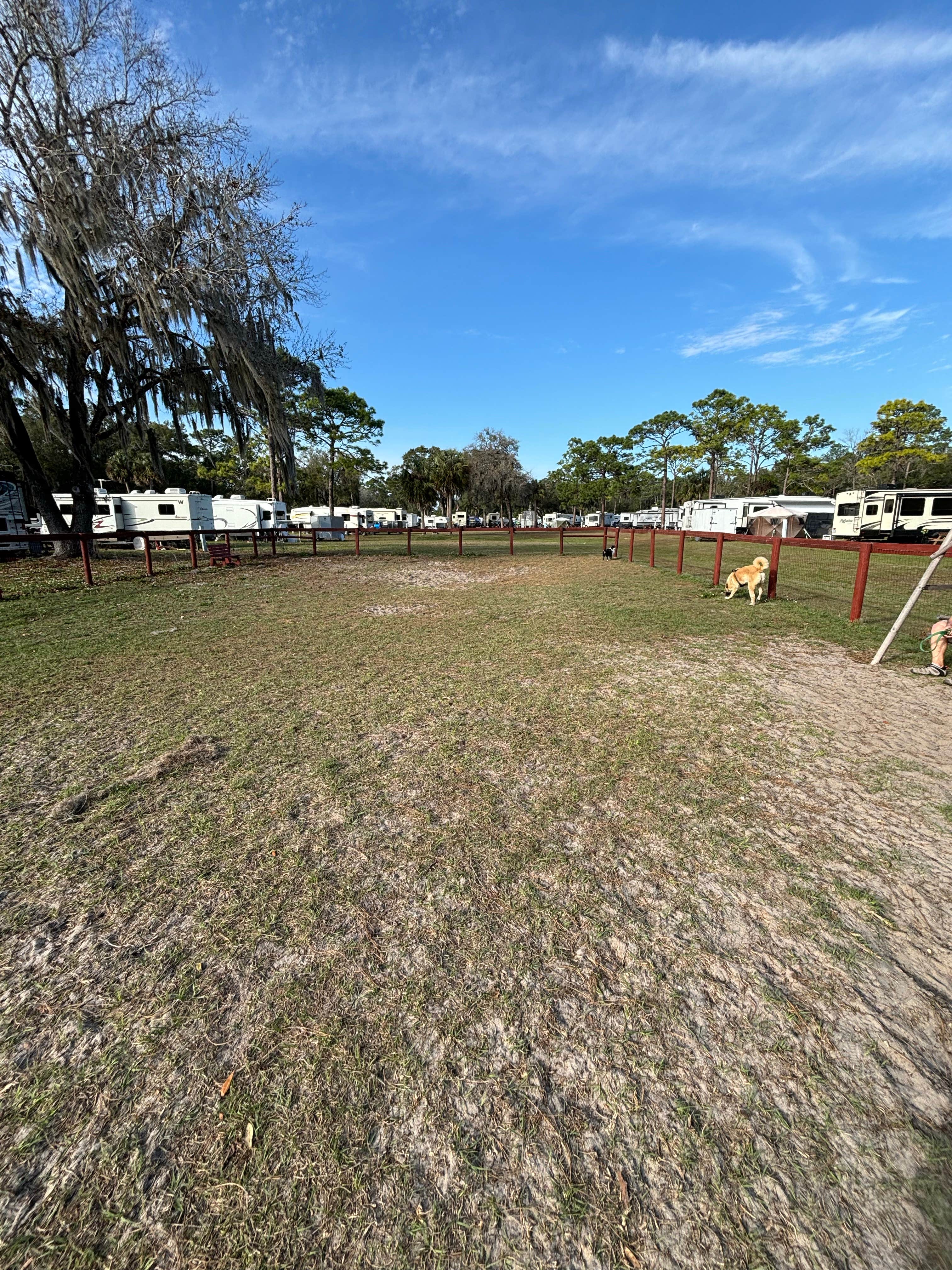 Camper-submitted photo at Gulf Coast RV Resort near Yankeetown, FL