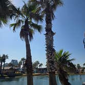 Review photo of Gulf Waters Beach Front RV Resort by Shawn S., May 1, 2026