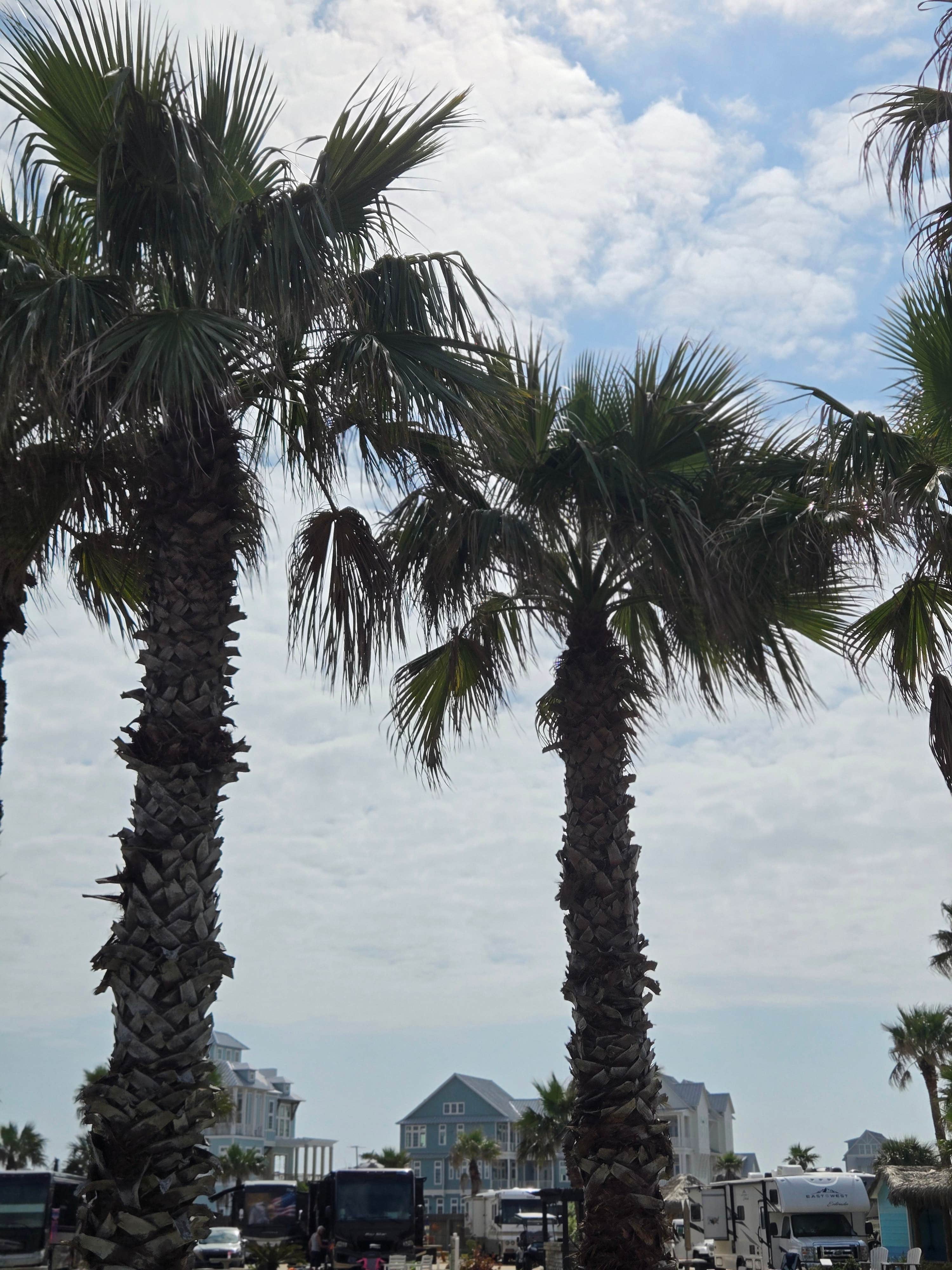 Camper-submitted photo at Gulf Waters Beach Front RV Resort near Corpus Christi, TX
