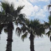 Review photo of Gulf Waters Beach Front RV Resort by Shawn S., May 1, 2026