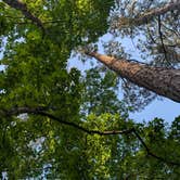 Review photo of Gum Springs Recreation Area — Kisatchie National Forest by David H., May 13, 2025