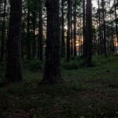 Review photo of Gum Springs Recreation Area — Kisatchie National Forest by David H., April 29, 2025