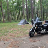 Review photo of Gum Springs Recreation Area — Kisatchie National Forest by David H., April 29, 2025