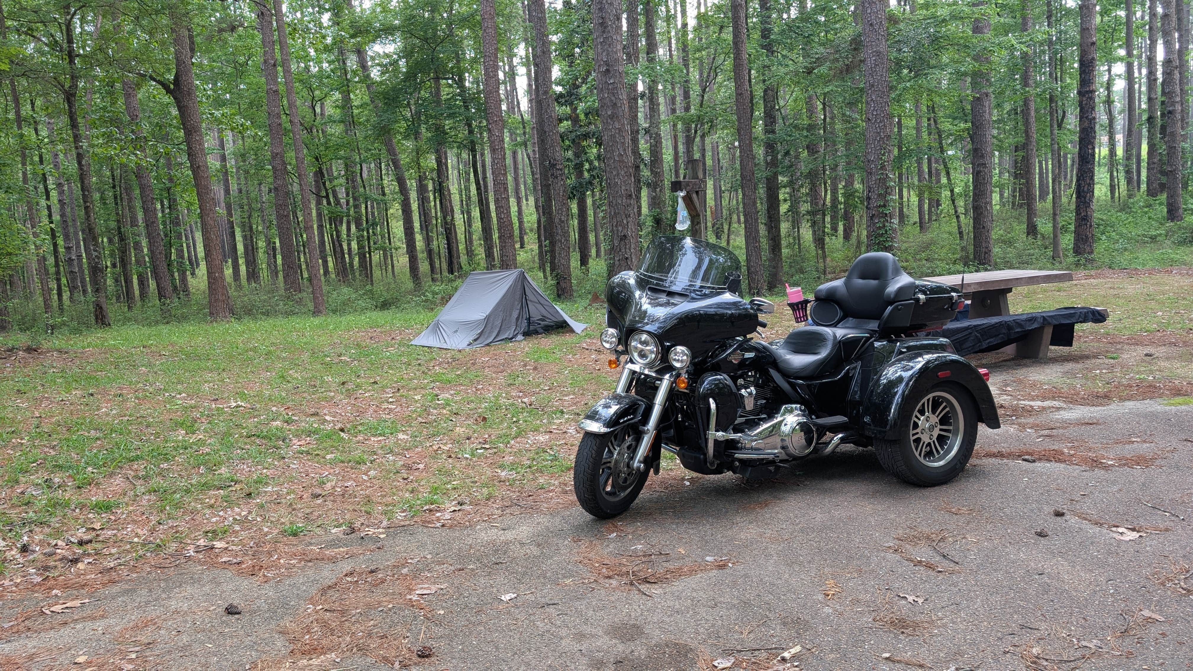 David H.'s photo at Gum Springs Recreation Area — Kisatchie National Forest near Natchitoches, LA