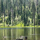 Review photo of Gumboot Campground by Amy W., June 22, 2026