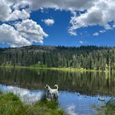 Review photo of Gumboot Campground by Amy W., June 22, 2026