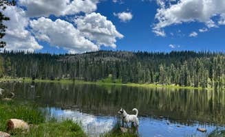 Amy W.'s photo of a dispersed camping area at Gumboot Campground near Castella, CA