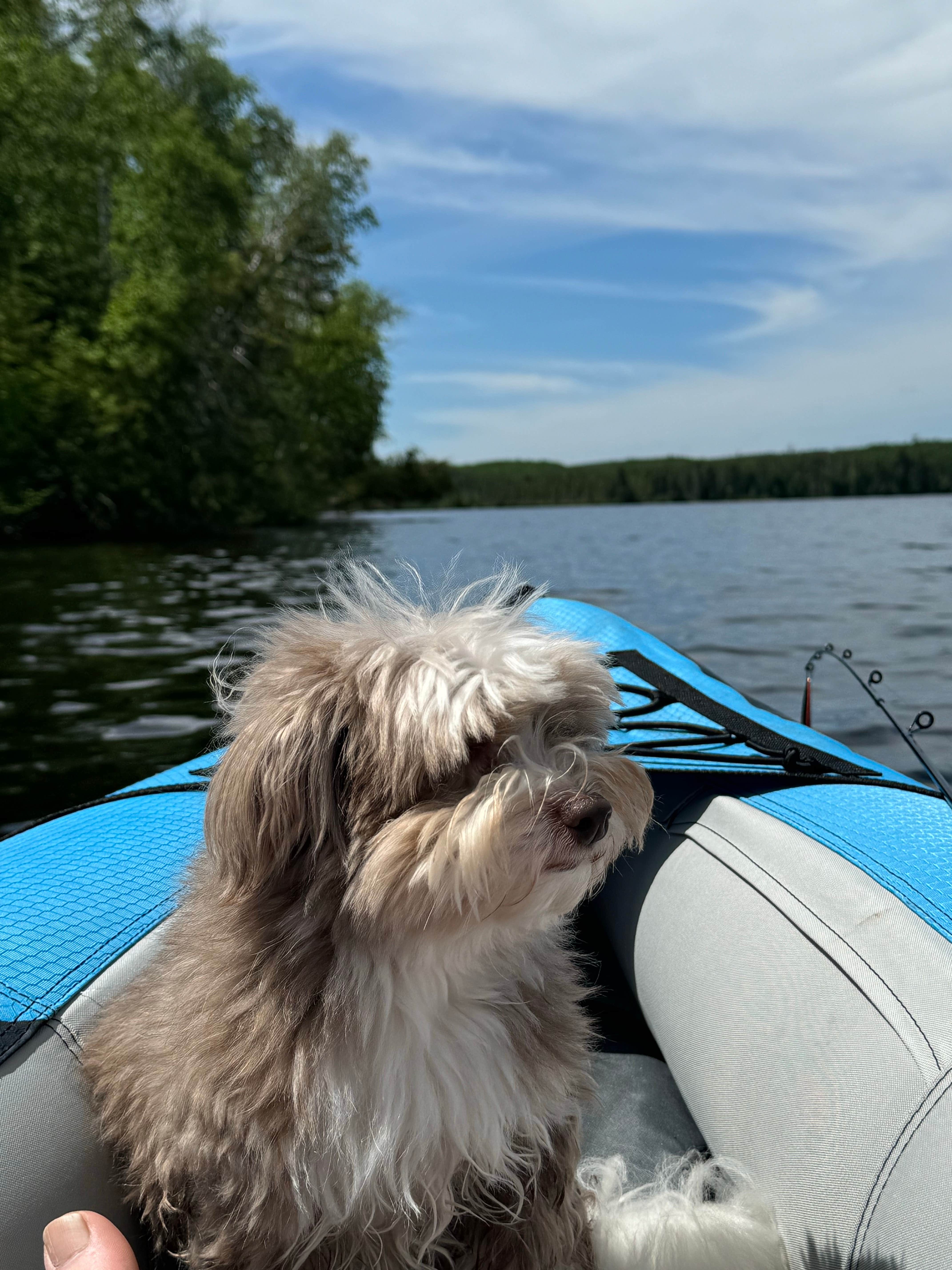 vincent W.'s photo of camping with pets at Gunflint Pines Resort and Campground near Lutsen, MN