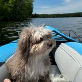 Review photo of Gunflint Pines Resort and Campground by vincent W., July 15, 2024