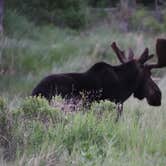 Review photo of Gunflint Pines Resort and Campground by vincent W., July 15, 2024