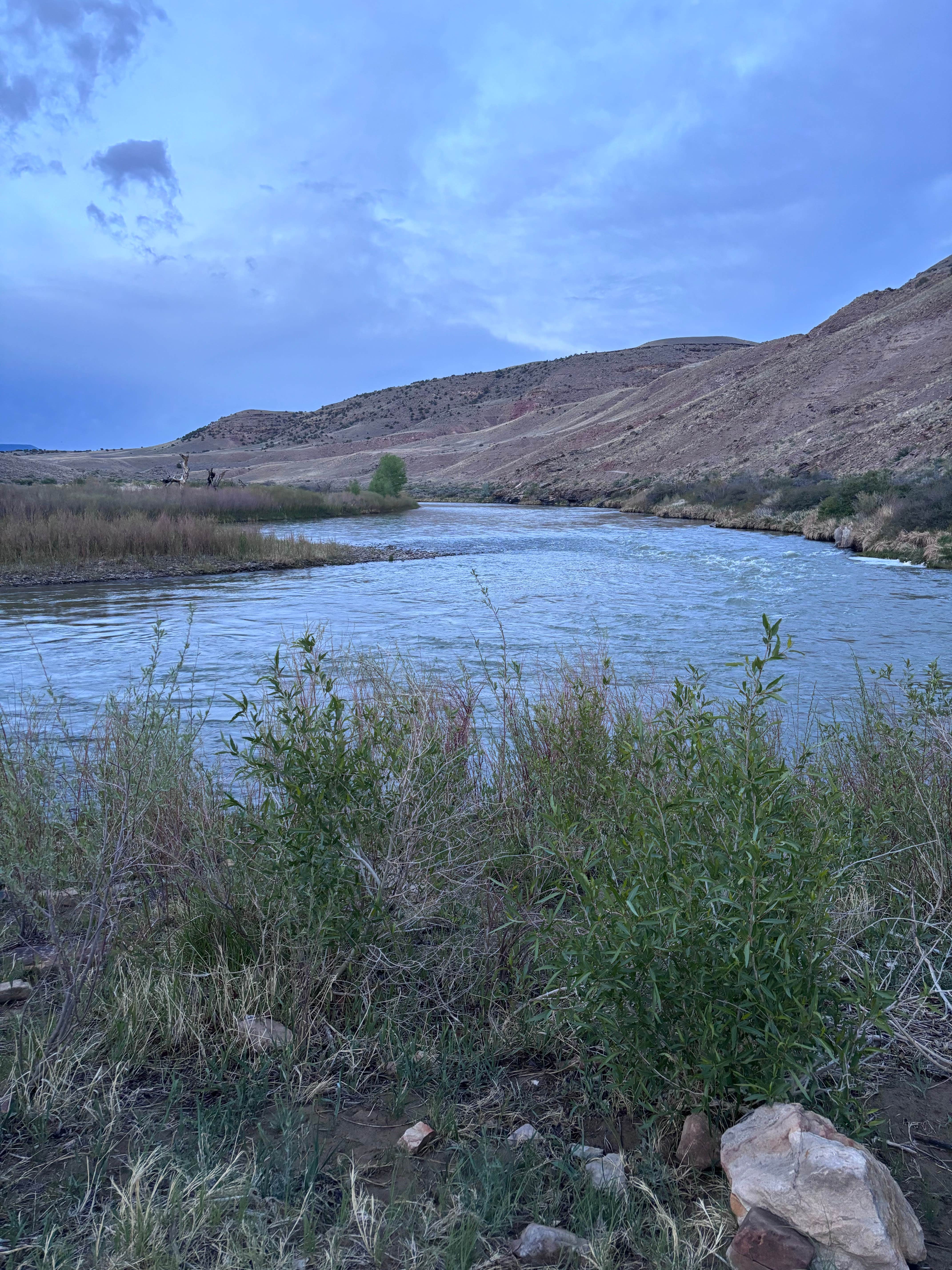 Camper submitted image from Dispersed River Site - Gunnison Gorge National Conservation - 4