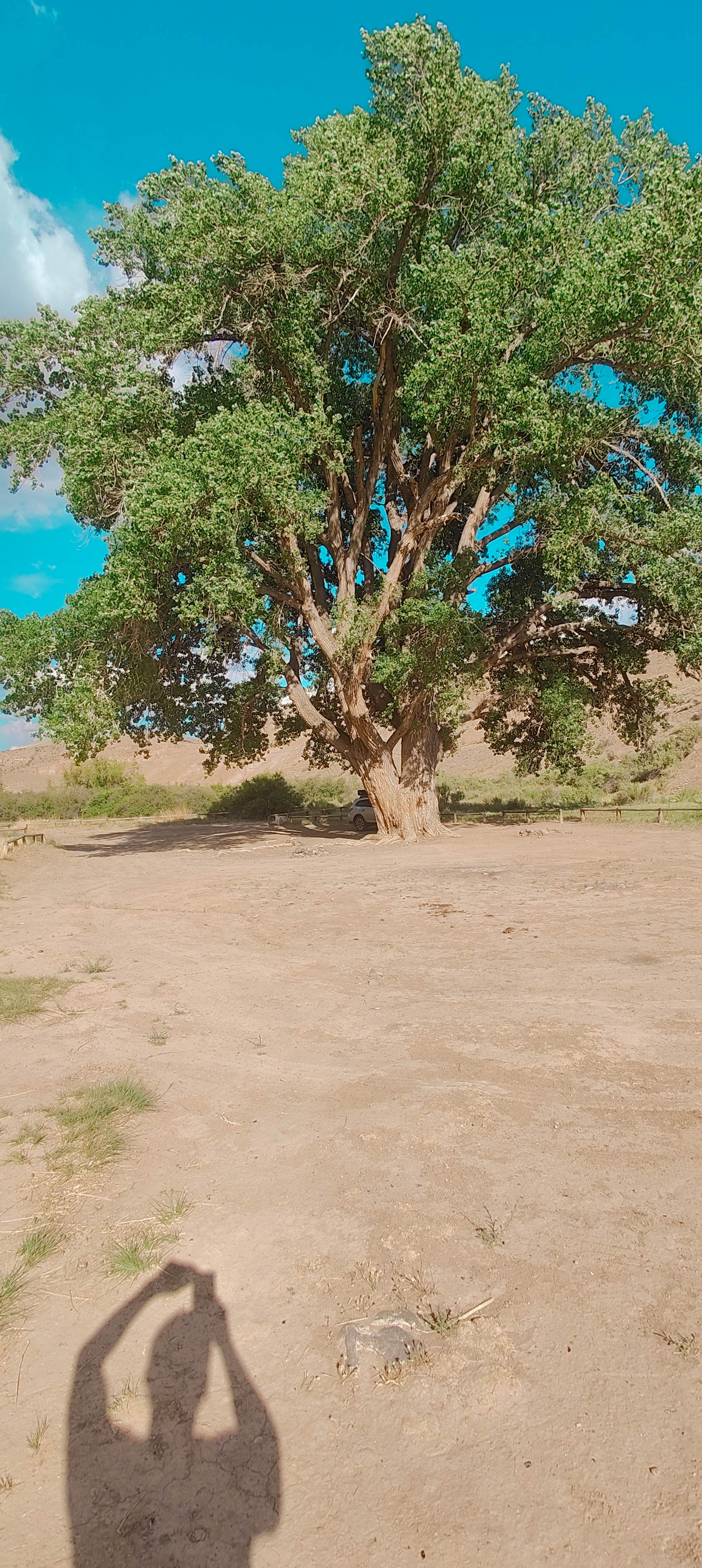 Camper submitted image from Dispersed River Site - Gunnison Gorge National Conservation - 1