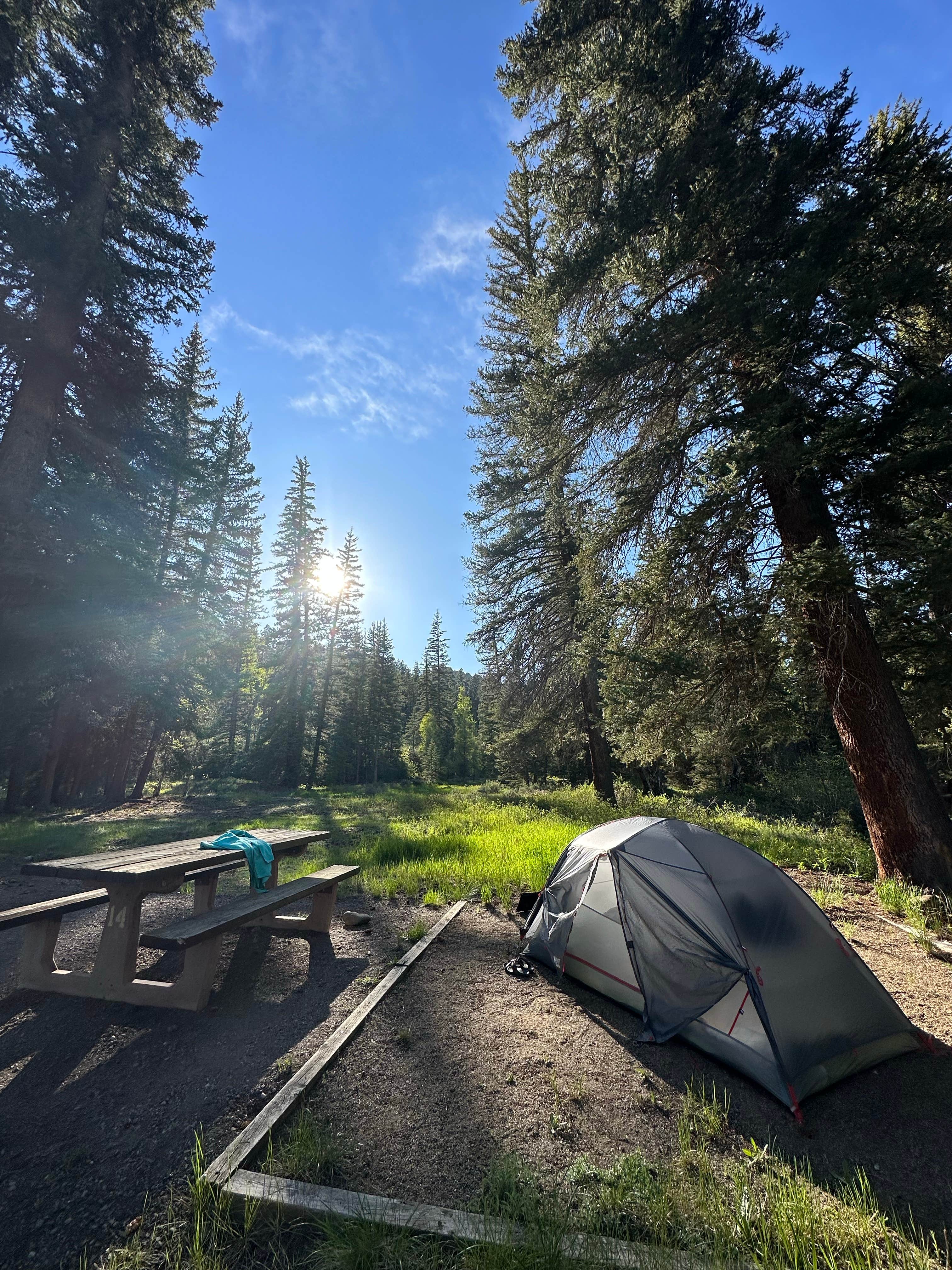Camper-submitted photo at Gunnison National Forest Soap Creek Campground near Black Canyon of the Gunnison National Park