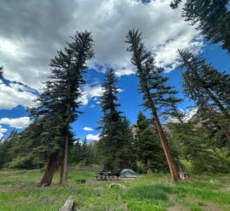 Camper-submitted photo from Gunnison National Forest Soap Creek Campground