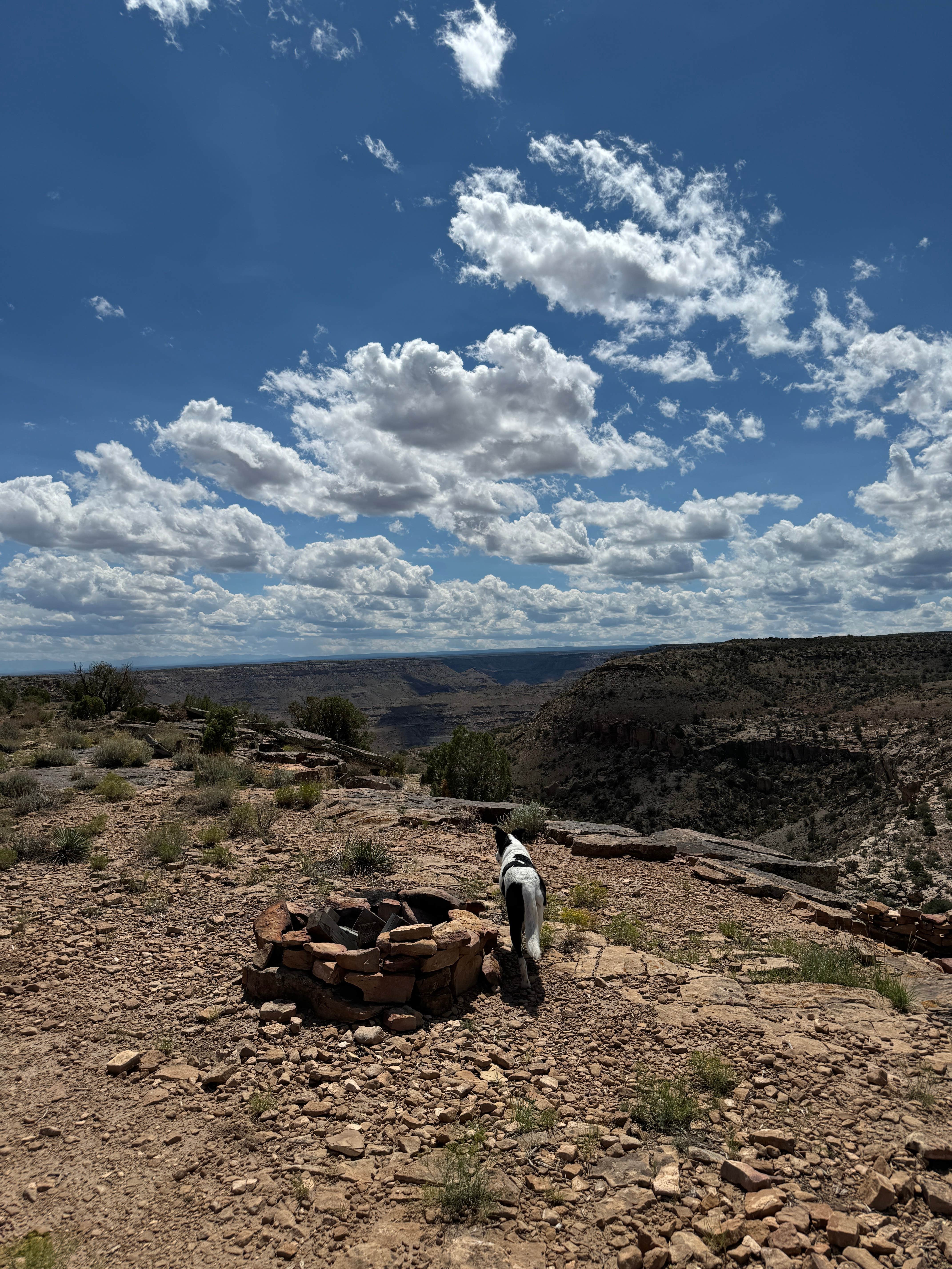 Camper-submitted photo at Gunnison River Overlook near Norwood, CO