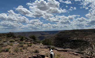 Kaylinn H.'s photo of a dispersed camping area at Gunnison River Overlook near Grand Junction, CO