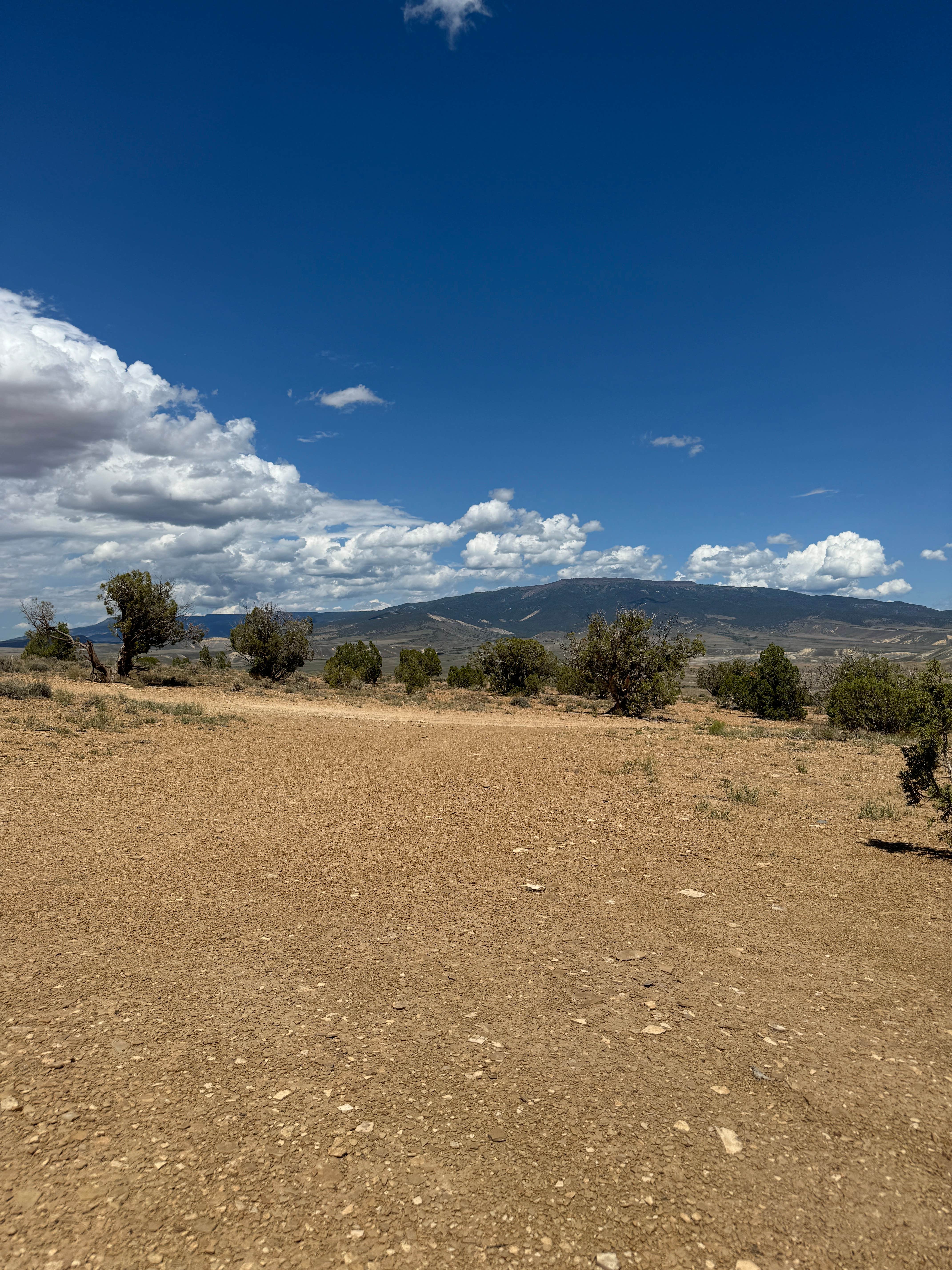 Camper-submitted photo at Gunnison River Overlook near Norwood, CO