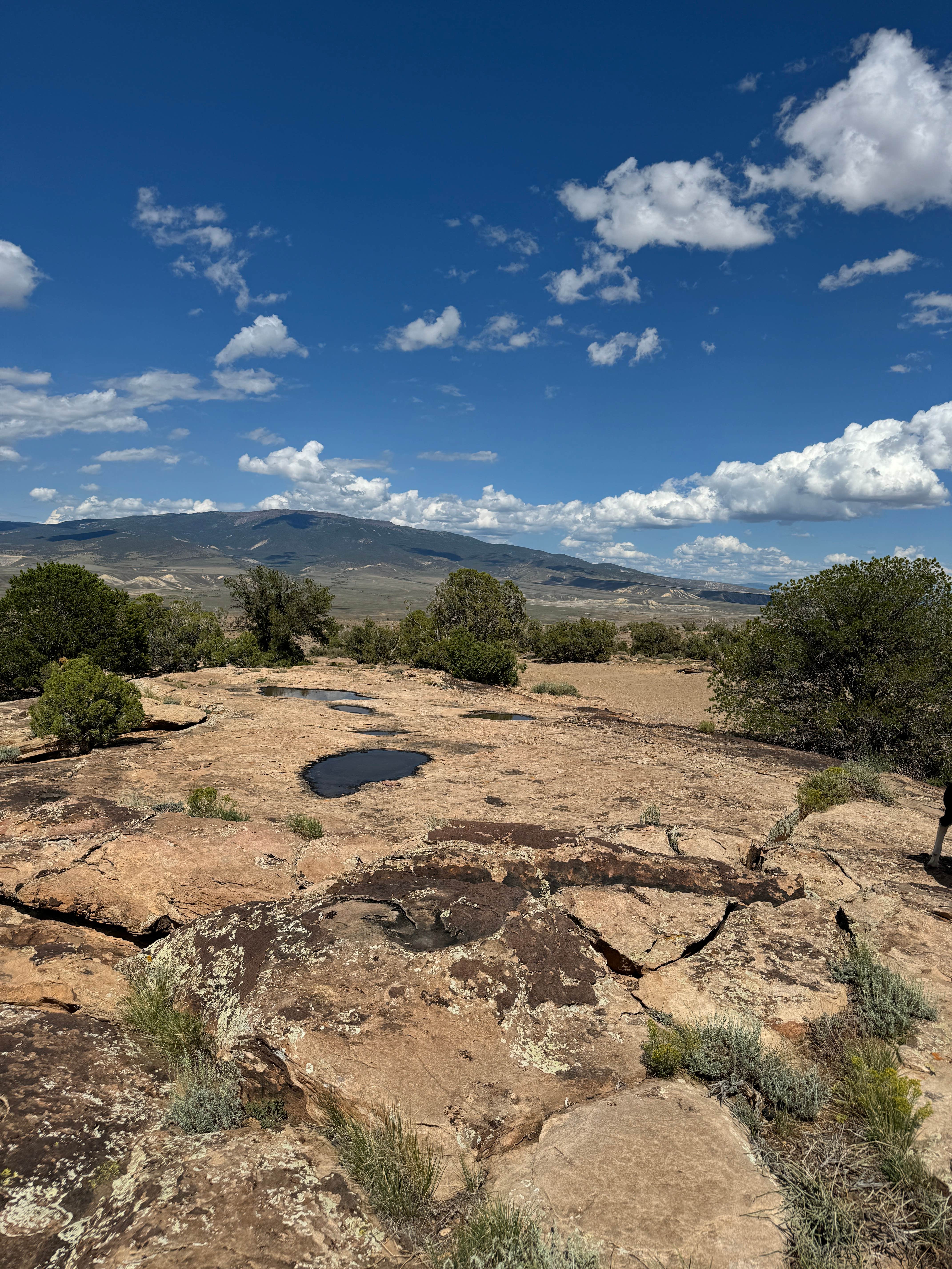 Camper-submitted photo at Gunnison River Overlook near Norwood, CO