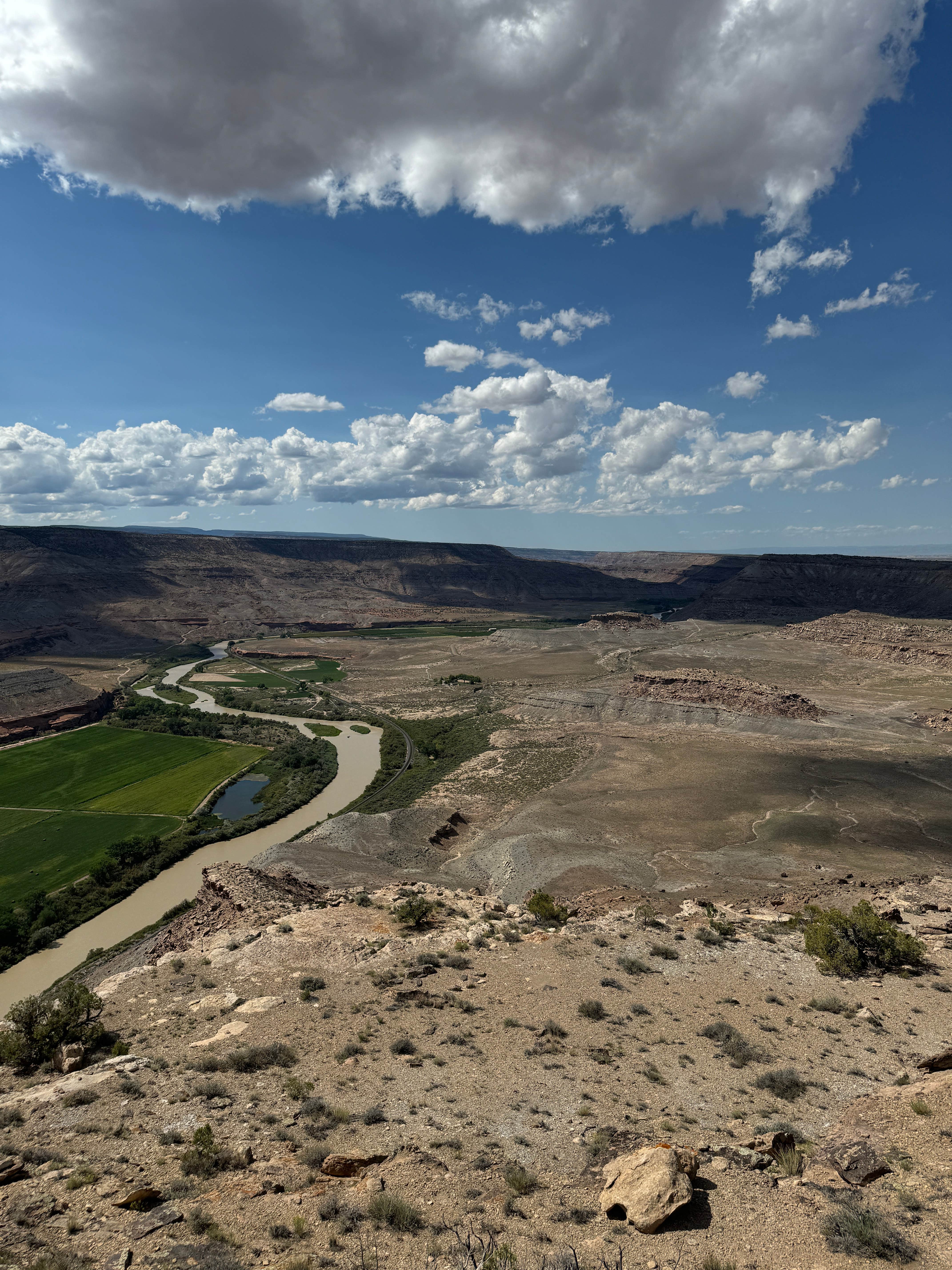 Camper-submitted photo at Gunnison River Overlook near Norwood, CO