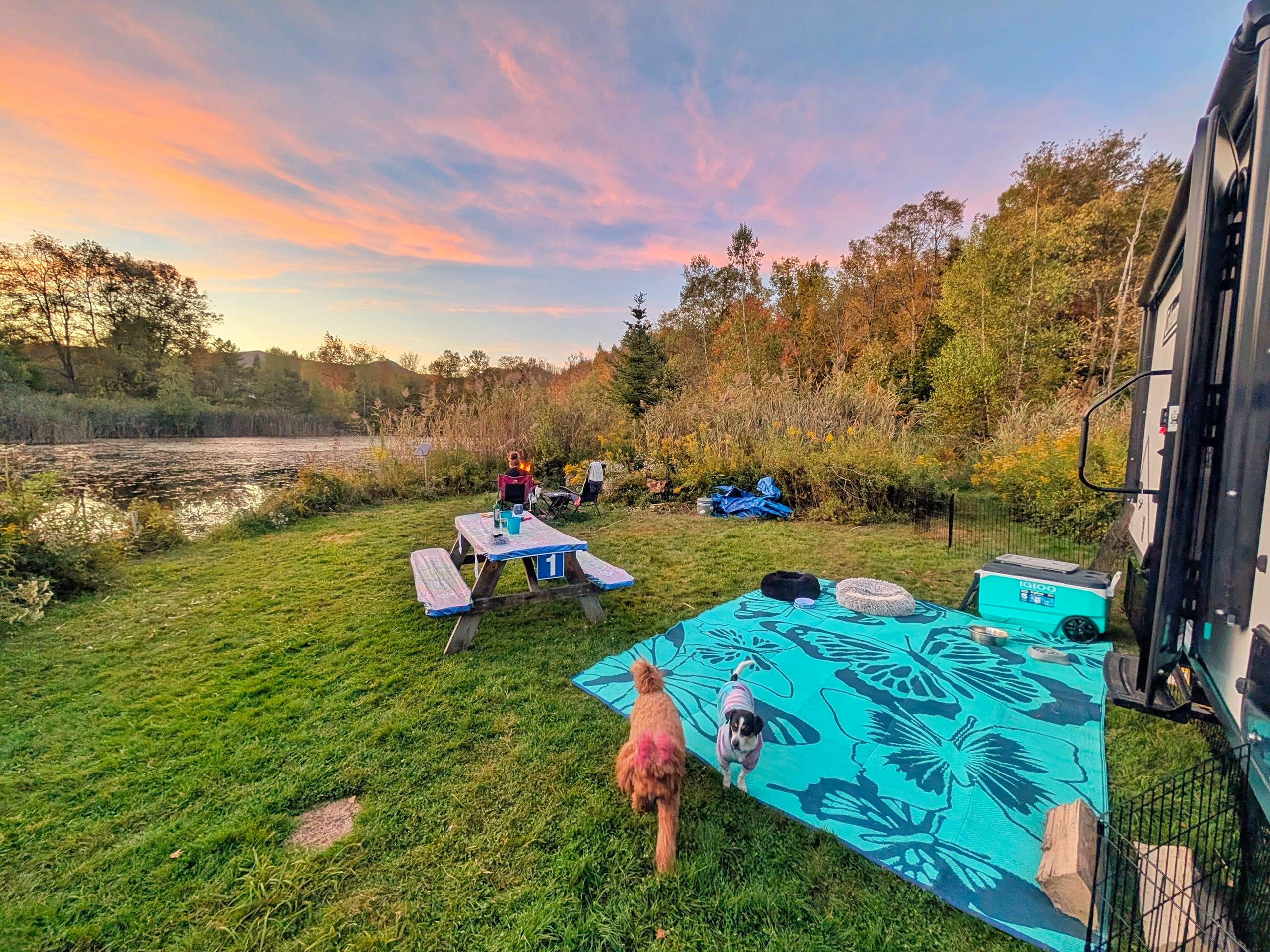 Rachael K.'s photo of camping with pets at Gus's Gardens Camping near Townshend Lake