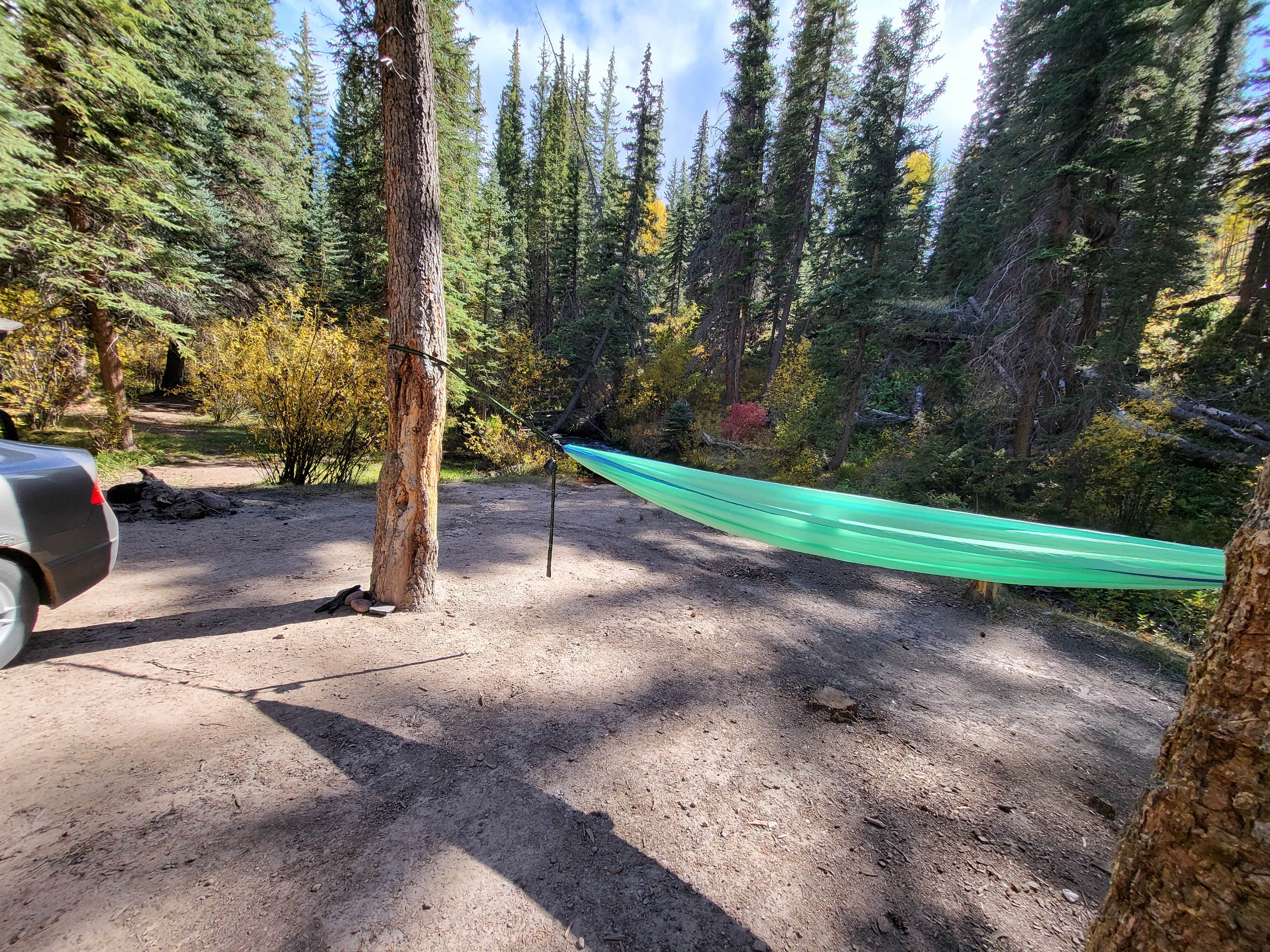 Camper submitted image from Gypsum Creek Road Dispersed near Red Creek - 1