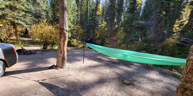 Camper submitted image from Gypsum Creek Road Dispersed near Red Creek
