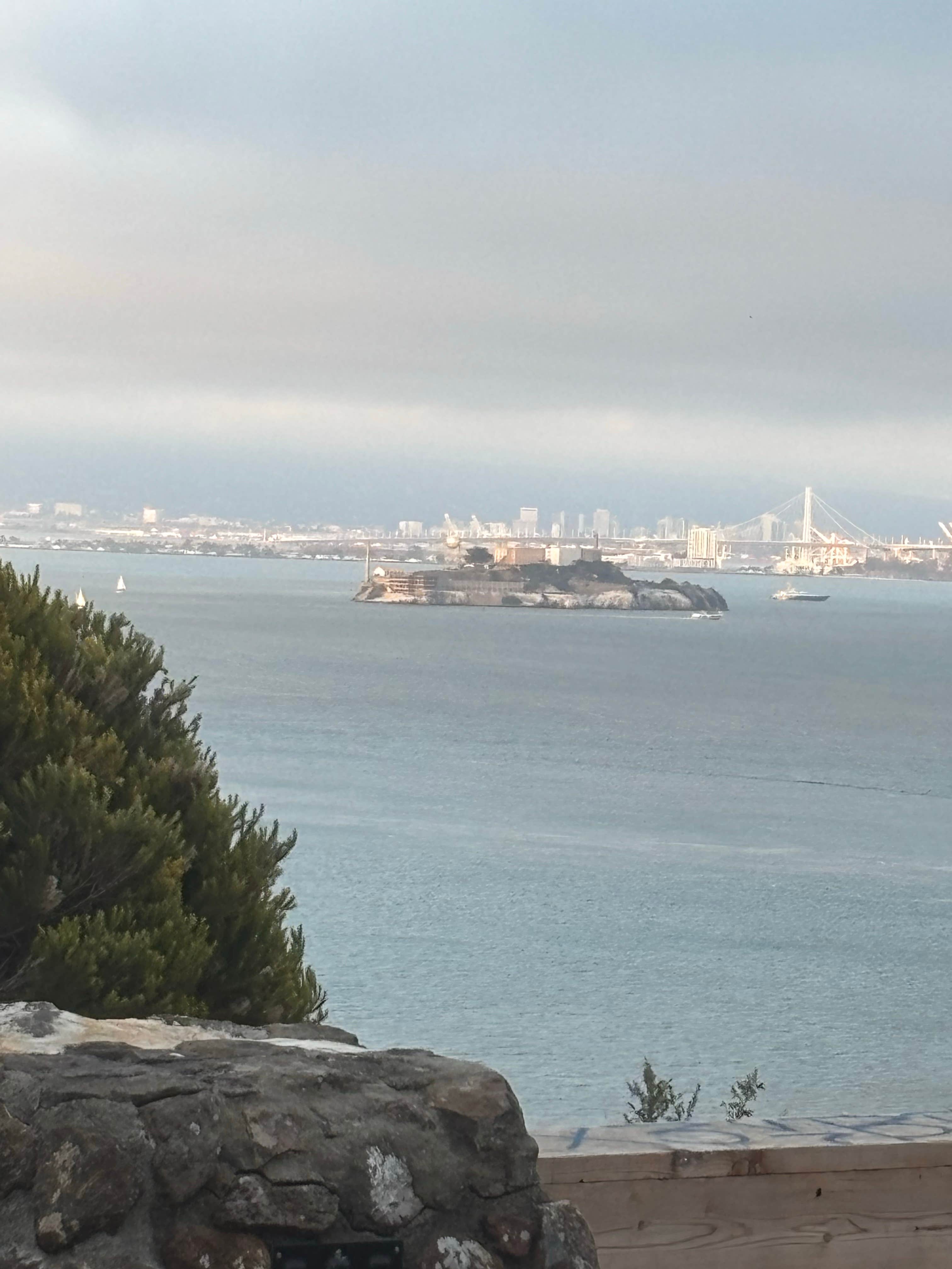 Camper-submitted photo at H. Dana Bower Rest Area Northbound near Mill Valley, CA