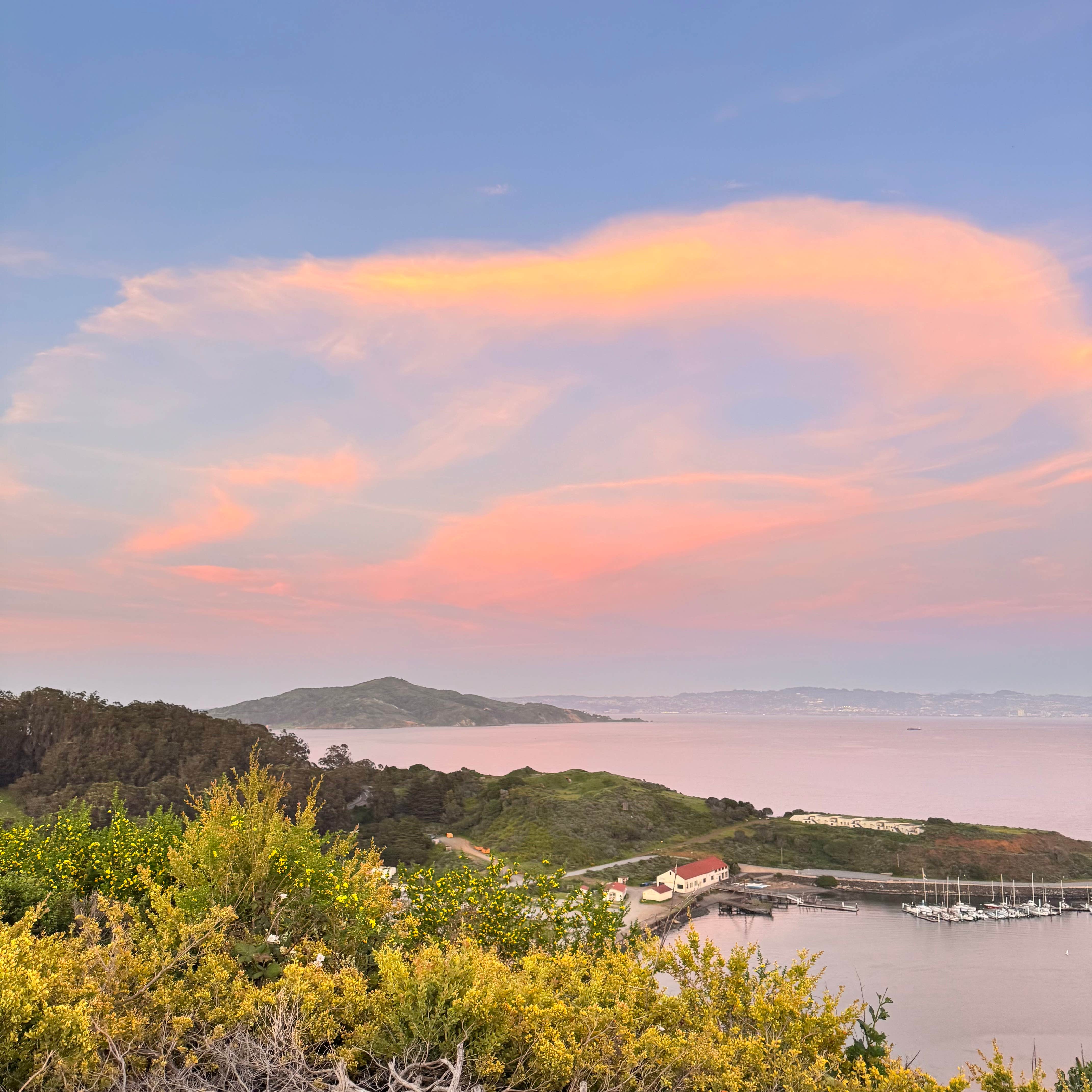Camper-submitted photo at H. Dana Bower Rest Area Northbound near Pacifica, CA