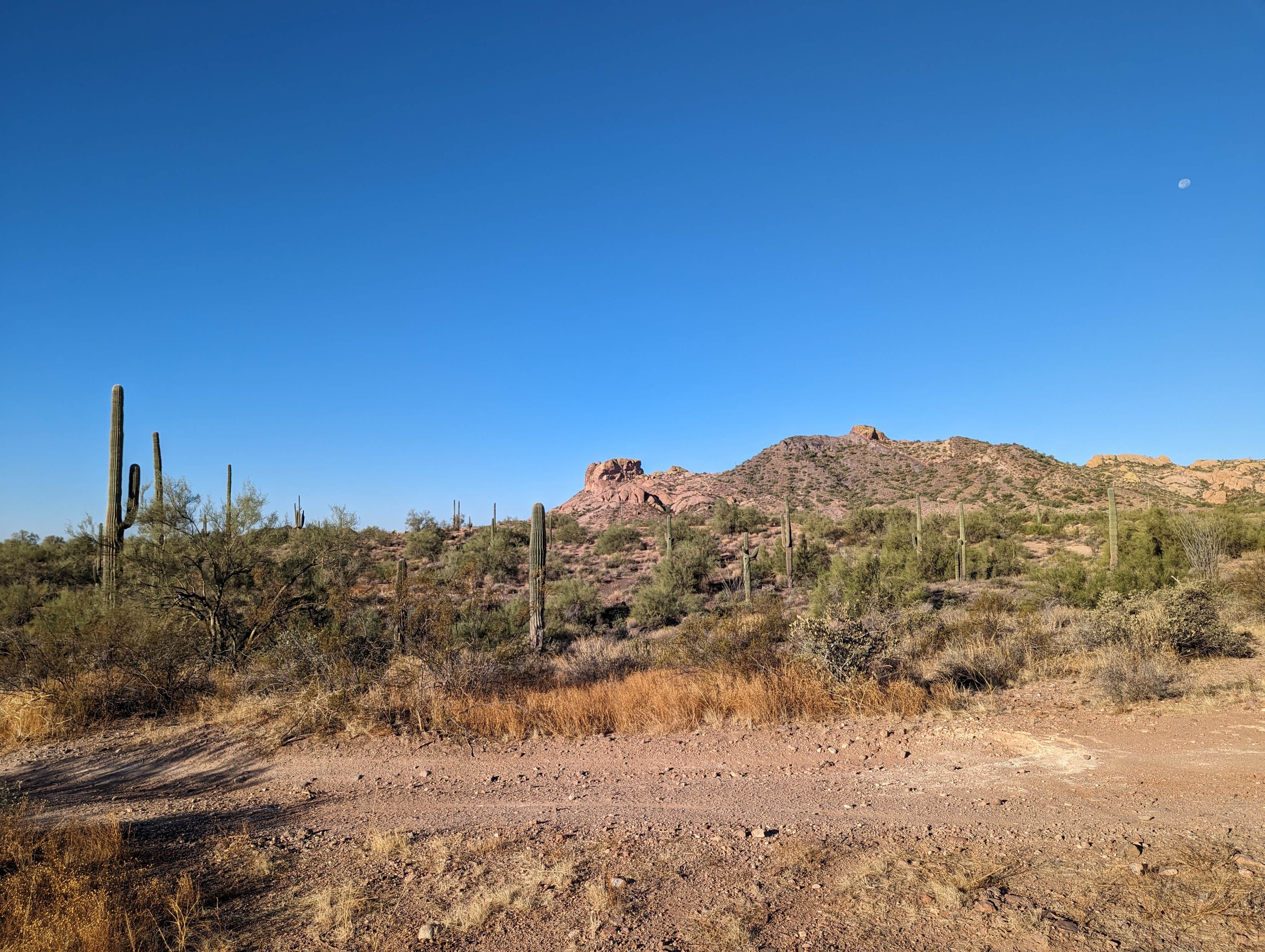 Camper-submitted photo at Hackamore Road Dispersed near Gold Canyon, AZ