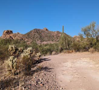 Camper-submitted photo from Picacho Peak State Park Campground