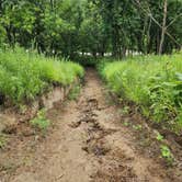 Review photo of Hackberry Hollow Campground — Indian Cave State Park by Kalab R., July 21, 2024